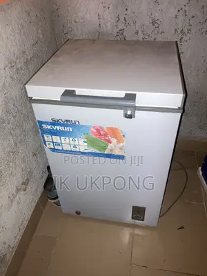 Skyrun Deep Freezer