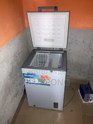 Skyrun Deep Freezer