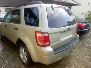 Ford Escape 2010 Beige