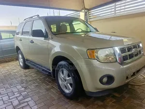 Ford Escape 2010 Beige