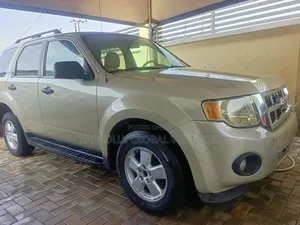Ford Escape 2010 Beige