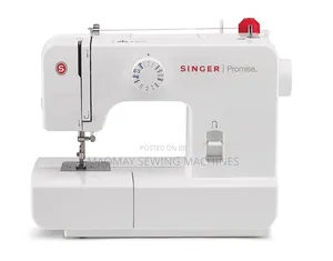 Singer Promise