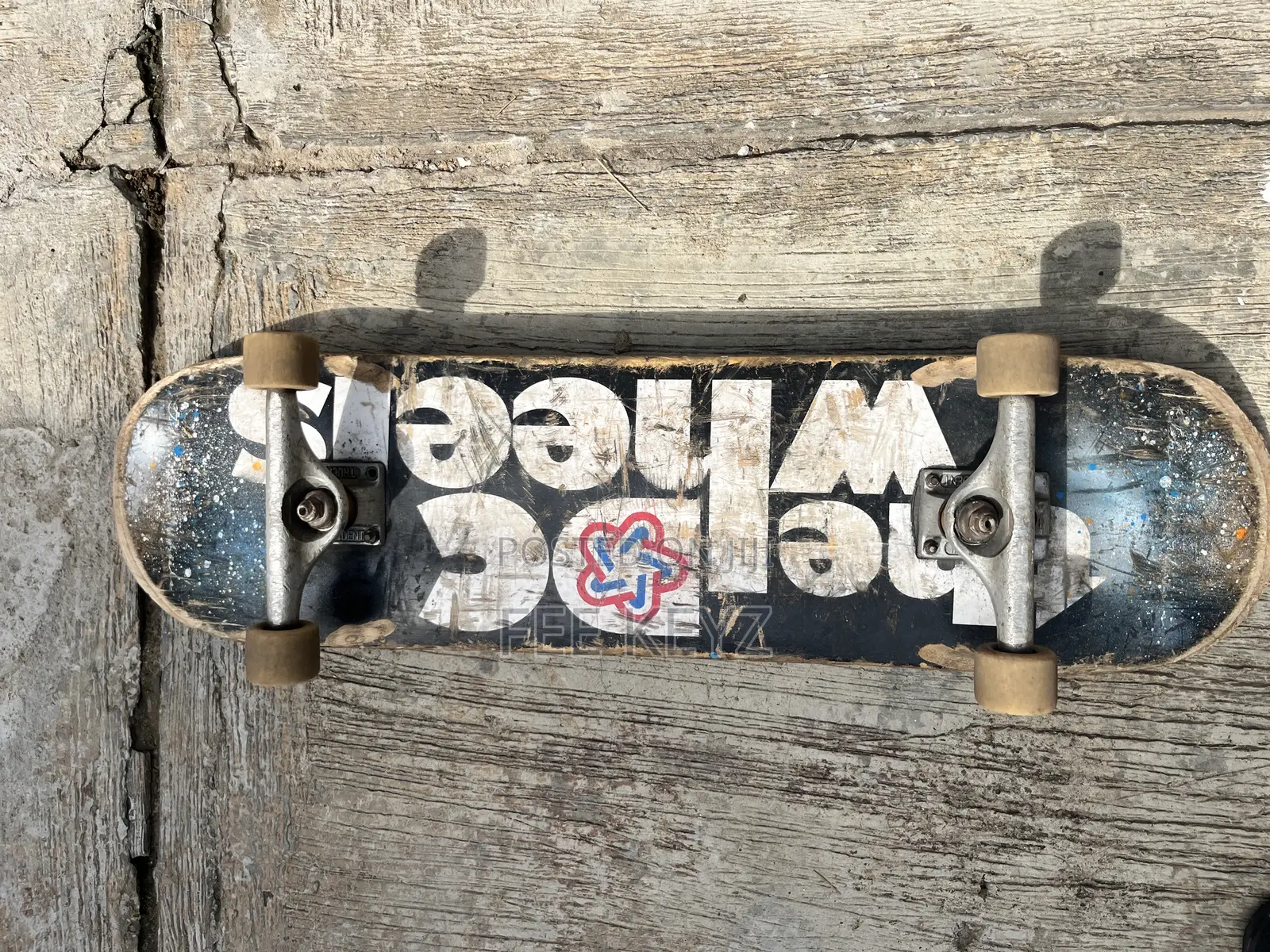 Standard Professional Skateboard
