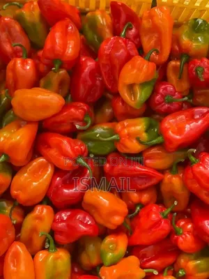 Imr Nig LTD Farm