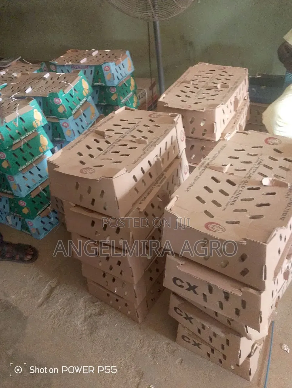 Quality Broilers