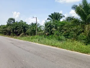 One Acre(8plots) of Commercial Land Along Orerokpe Express
