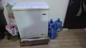 Haier Thermocool Freezer