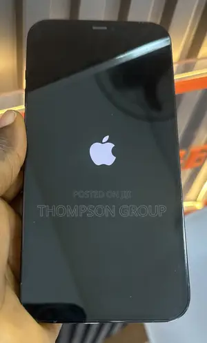 Apple iPhone 12 Pro Max 256 GB