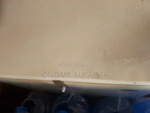 200l Freezer Just Need Gassing