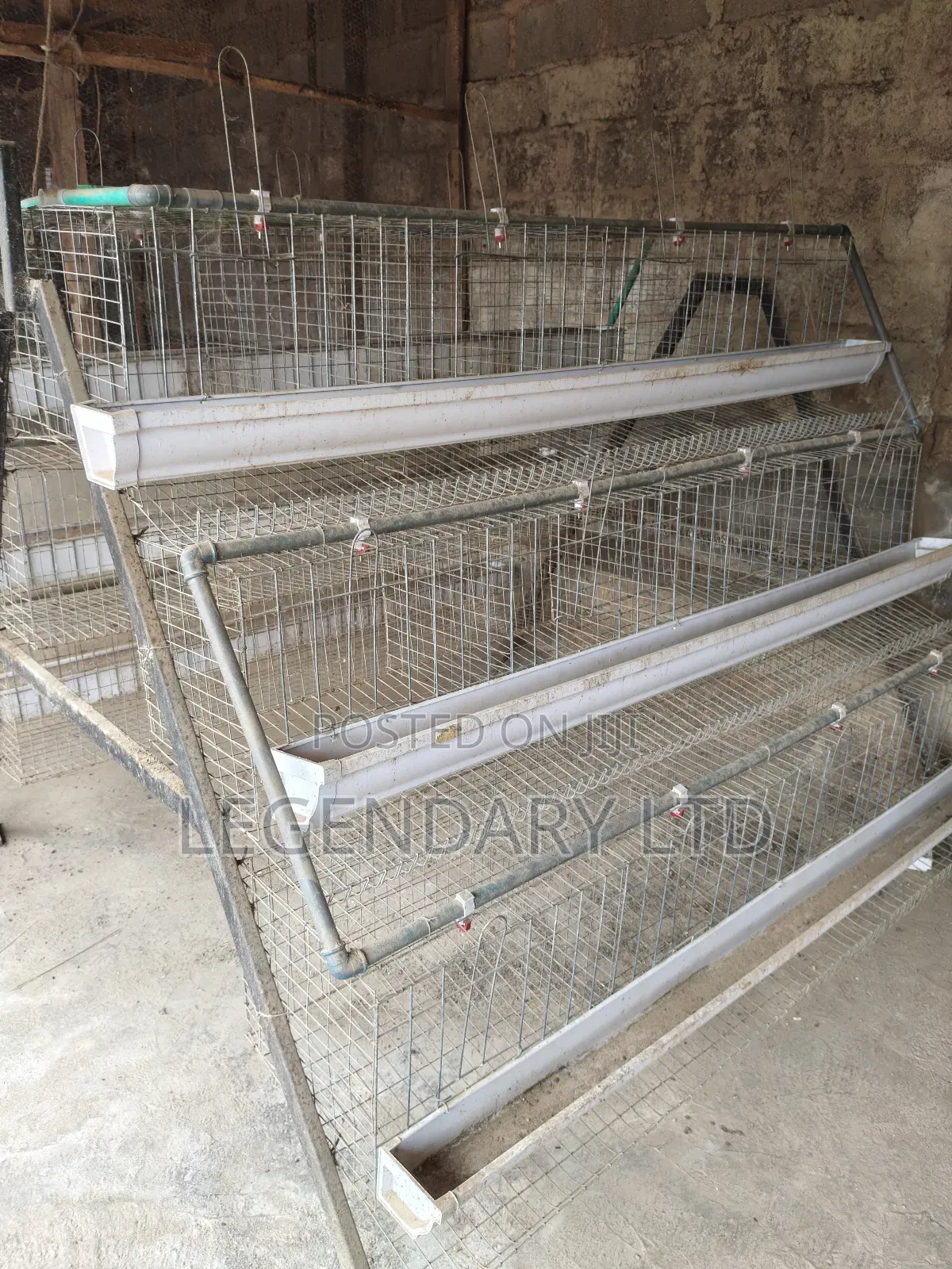 Chicken Battery Cages