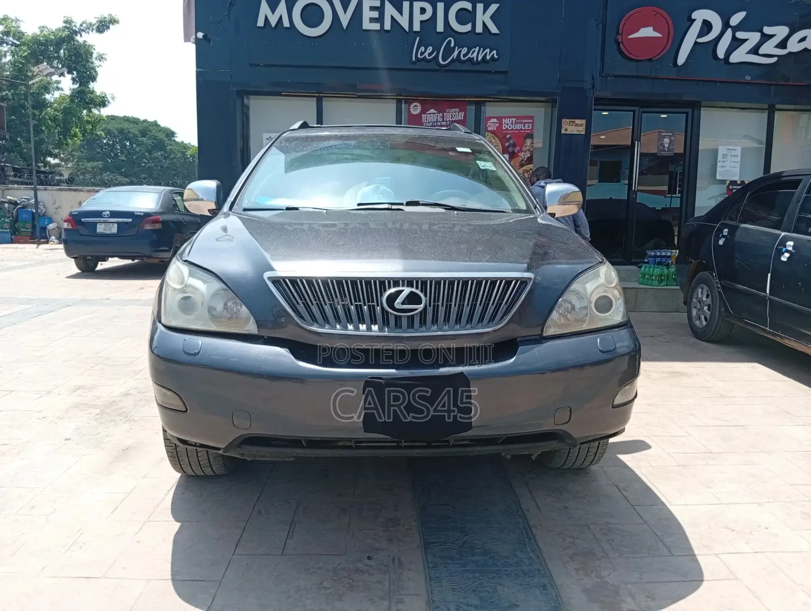 Lexus RX 2004 Gray