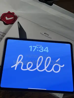 Apple iPad Pro 13 (2024) 256 GB Gray