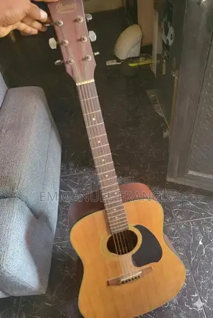 Ibanez Performance Acoustic Guitar