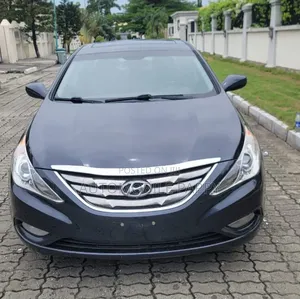 Hyundai Sonata 2011 Gray