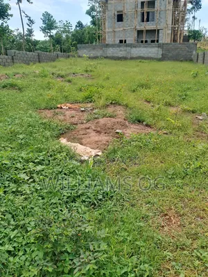 Spacious Land