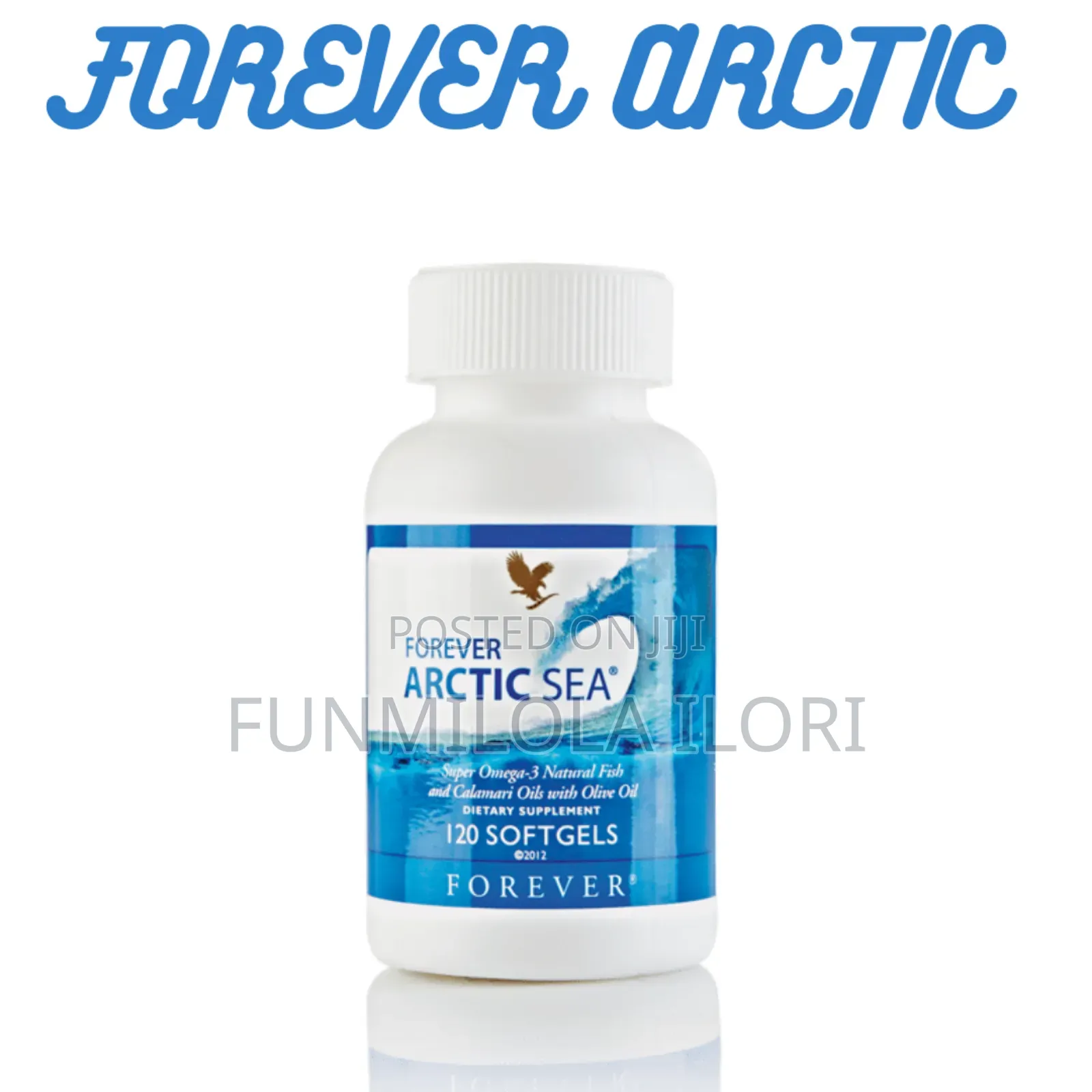 Forever Artic Sea.