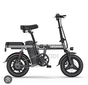 Electric Bicycle / Bike