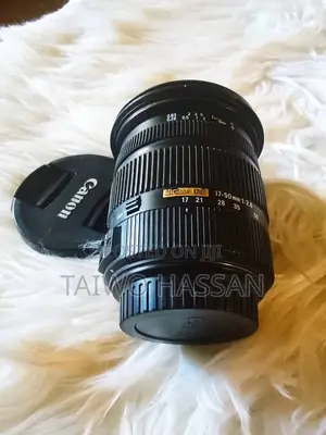 Sigma 17-50mm F/2.8