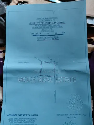 Prime Plots And Property Sales Victoria Island Lagos