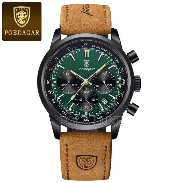 Poedagar Luxury Leather Watch