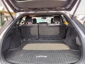 Lexus RX 2024 Gray