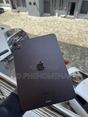 Apple iPad Pro 256 GB Gray