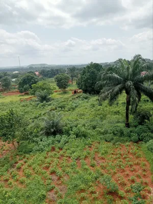 Landed Property at Nsukka (7 Plots of Land)