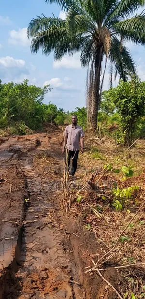 Plots Land Available At Campus Villa Estate Extension, Abara Etche