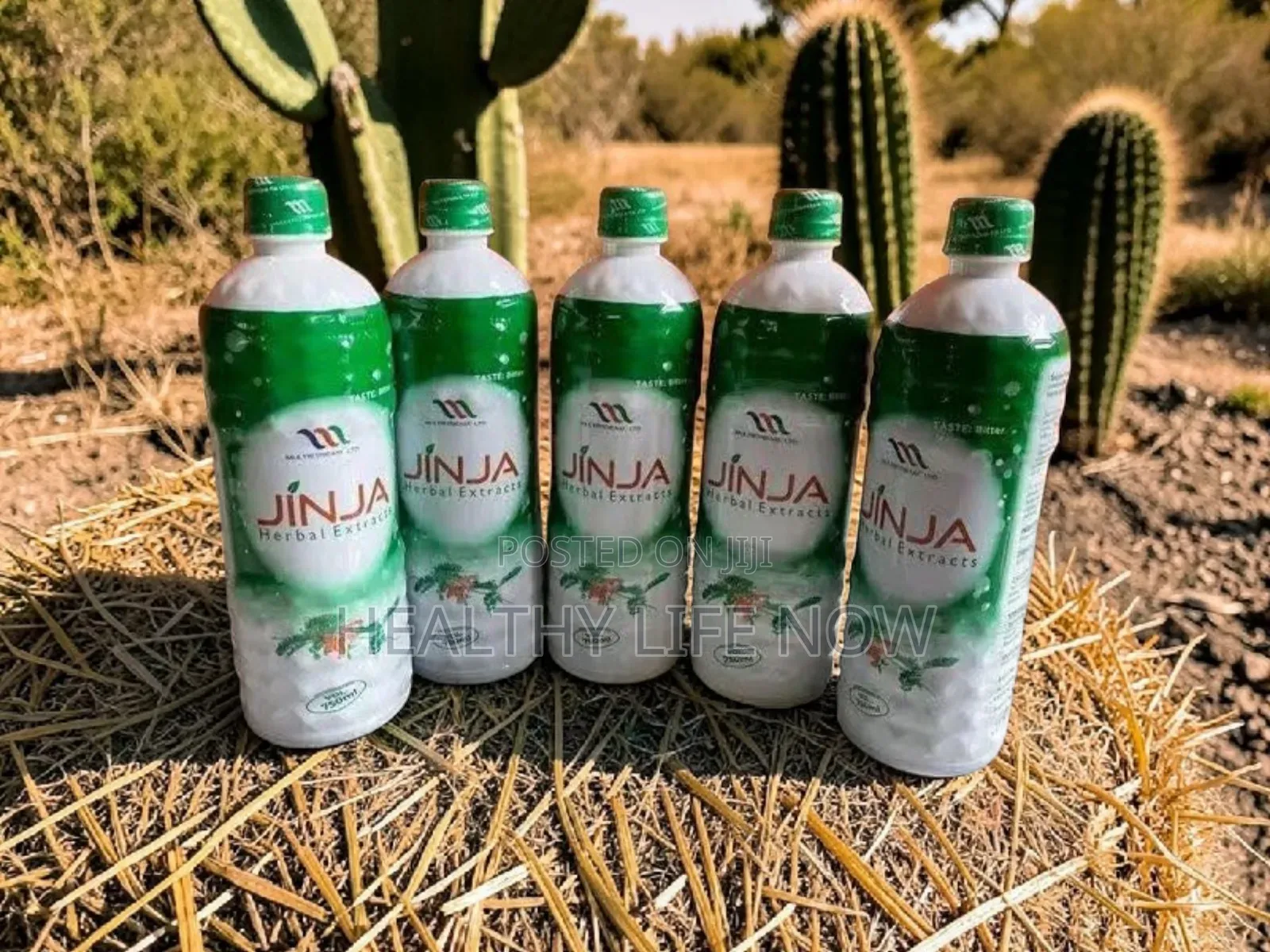 Support Healthy Immune System With Jinja Herbal Extract
