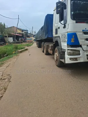 Dangote Cement and Bua Cement