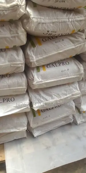 Texturized Soy Protein