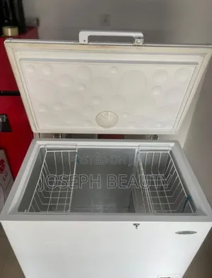 Thermocool Deep Freezer Inverter 319liters