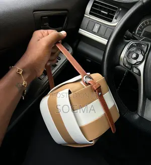 Medium Sized Handbag Ladies Lady Bag