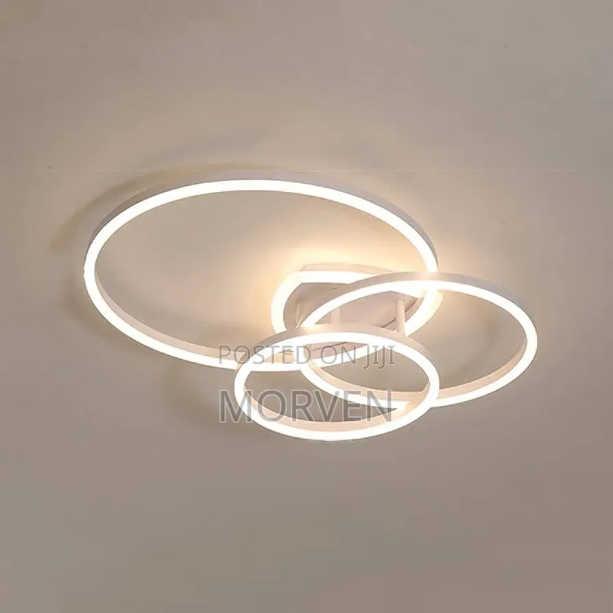 Ceiling Light