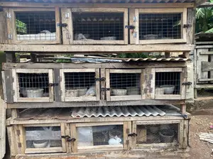Animal Farming