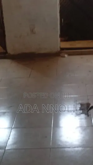 Studio Apartment in Citec, Mbora for rent