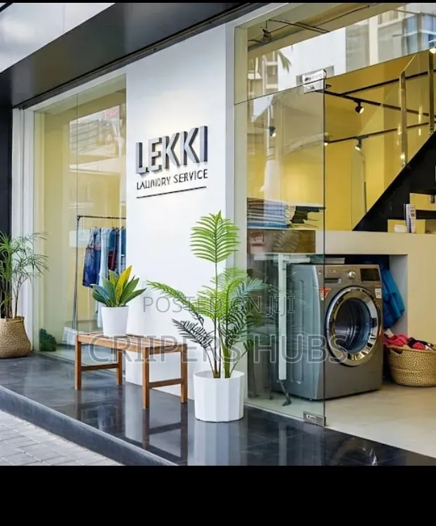 Lekki Laundry Home Service