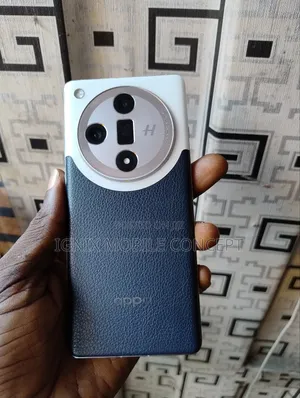 Oppo Find X7 512 GB Gray