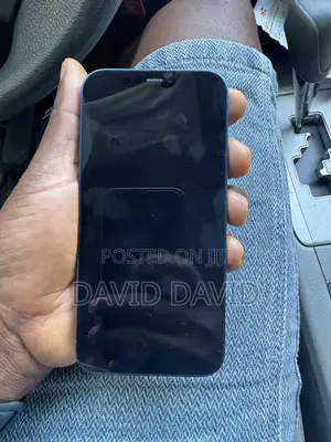 Apple iPhone 12 128 GB Blue