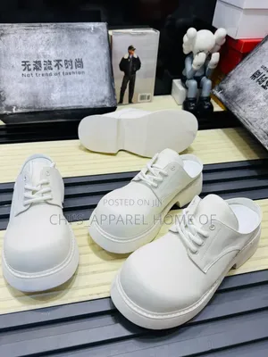 Luxury Shoe
