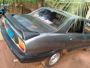 Peugeot 504 2004 Gray