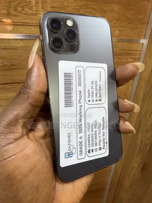 Apple iPhone 12 Pro 256 GB Gray