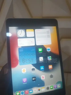 Apple iPad mini 4 64 GB Gray