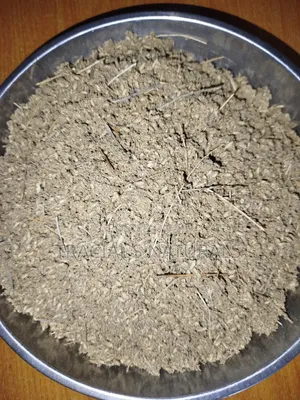 Boneset Herb