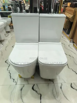 Executive Toilet Seat With Washing Hand Basin