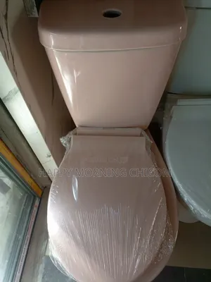 Milano Pink Wc With Complete Accessories