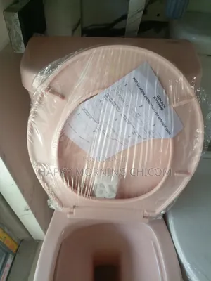 Milano Pink Wc With Complete Accessories