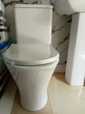Mensirn Pro Wc With Wash Hand Bssin