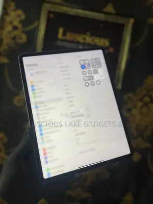 Apple iPad Pro 256 GB Gray