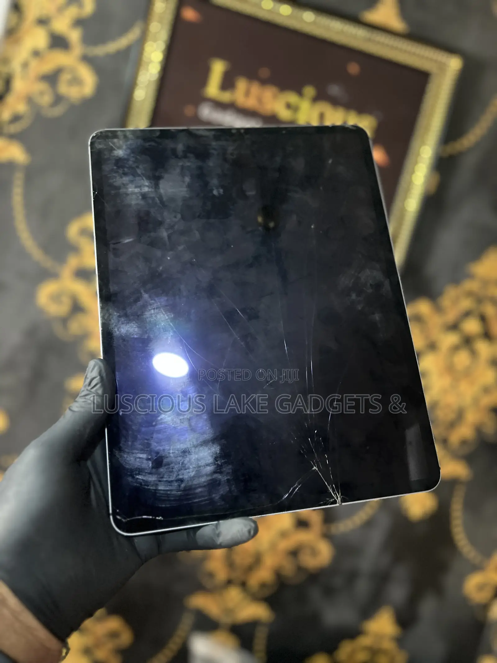 Apple iPad Pro 256 GB Gray